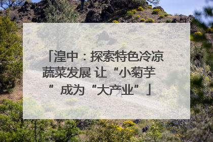 湟中：探索特色冷凉蔬菜发展 让“小菊芋”成为“大产业”